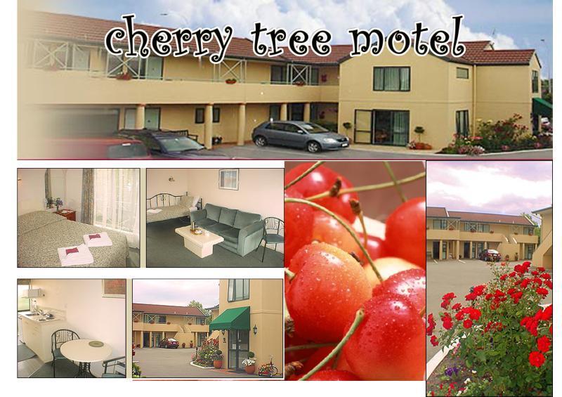 Cherry Tree Lodge Motel Christchurch Eksteriør bilde